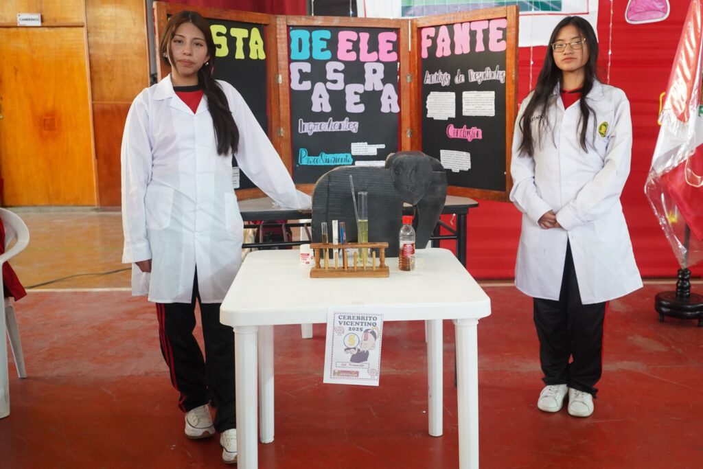 Cerebritos Vicentinos